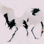 The minimalist colours of the Red-crowned Crane give plenty of opportunities for 'Fine Art' style portraits. The scarlet of the Cranes' crown - and the white and black of its head, body and legs - particularly if photographed against snow, can make for striking images (image by Virginia Wilde)