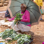 A woman at the Dorze market, using a parasol to shield herself from the harsh sun (image by Ingrid Koedood)