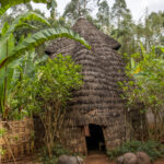 A traditional Dorze house, with its unique design resembling the shape of an elephant, stands proudly in the village (image by Ingrid Koedood)