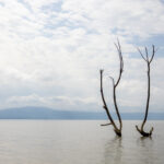 A surreal scene at Lake Chamo (image by Ingrid Koedood)