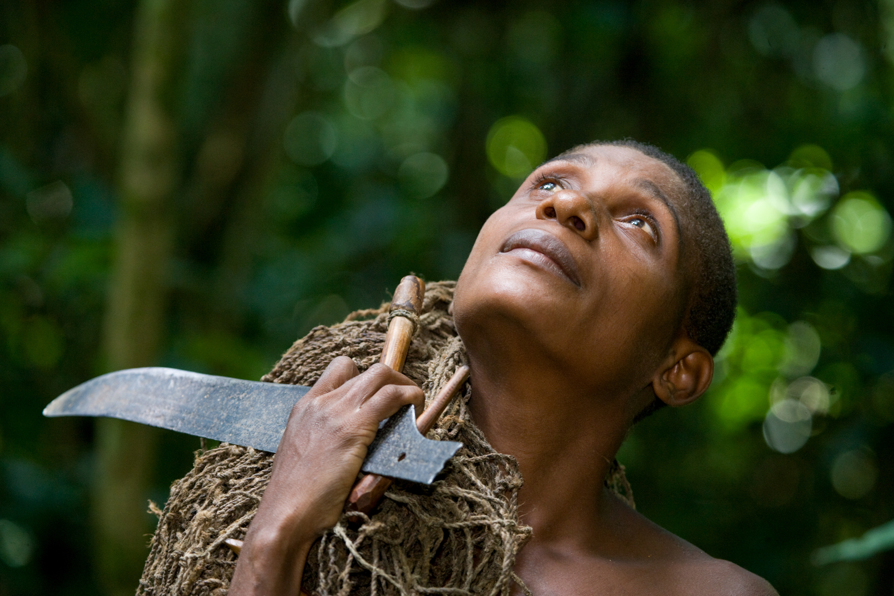 A Ba'aka woman peers into the rainforest canopy looking for food