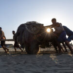 Sun burst in the net haulers (image by Yousuf Tushar)