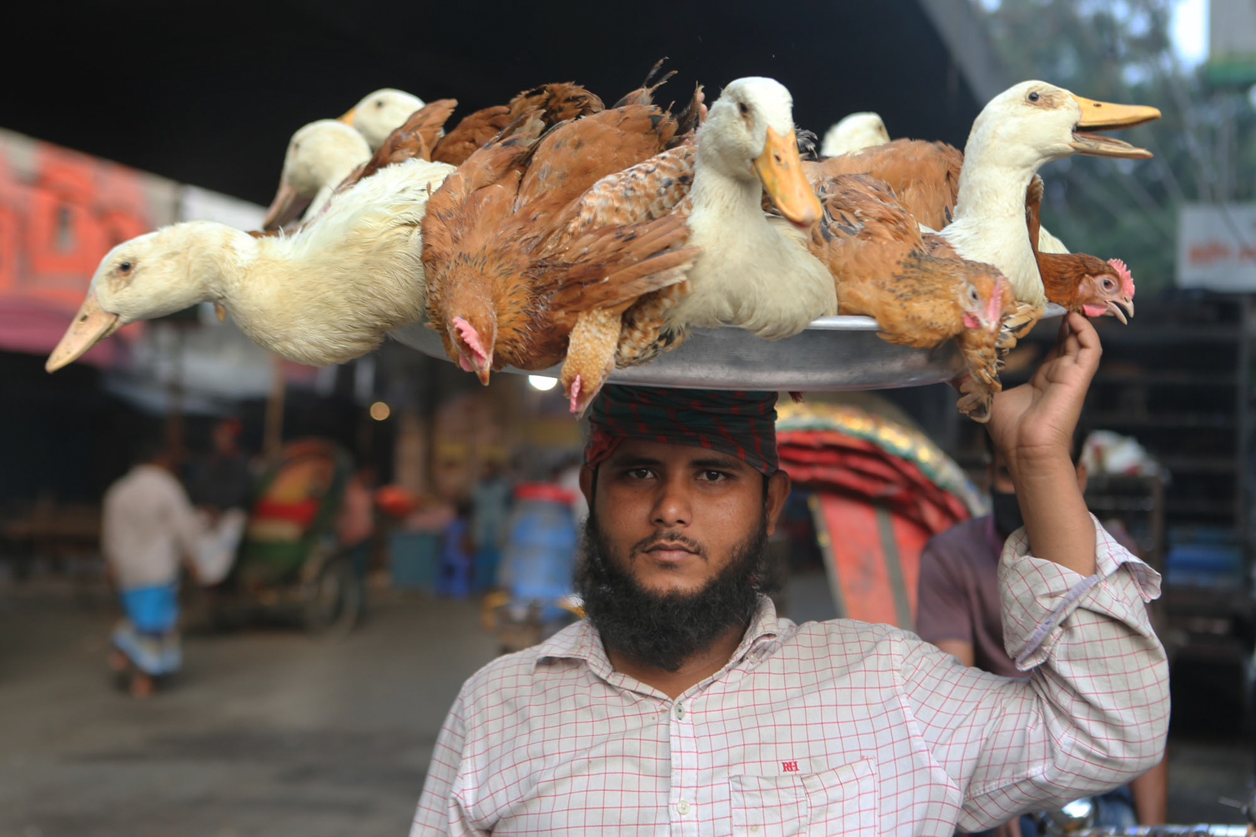 The duck merchant (image by Yousuf Tushar)