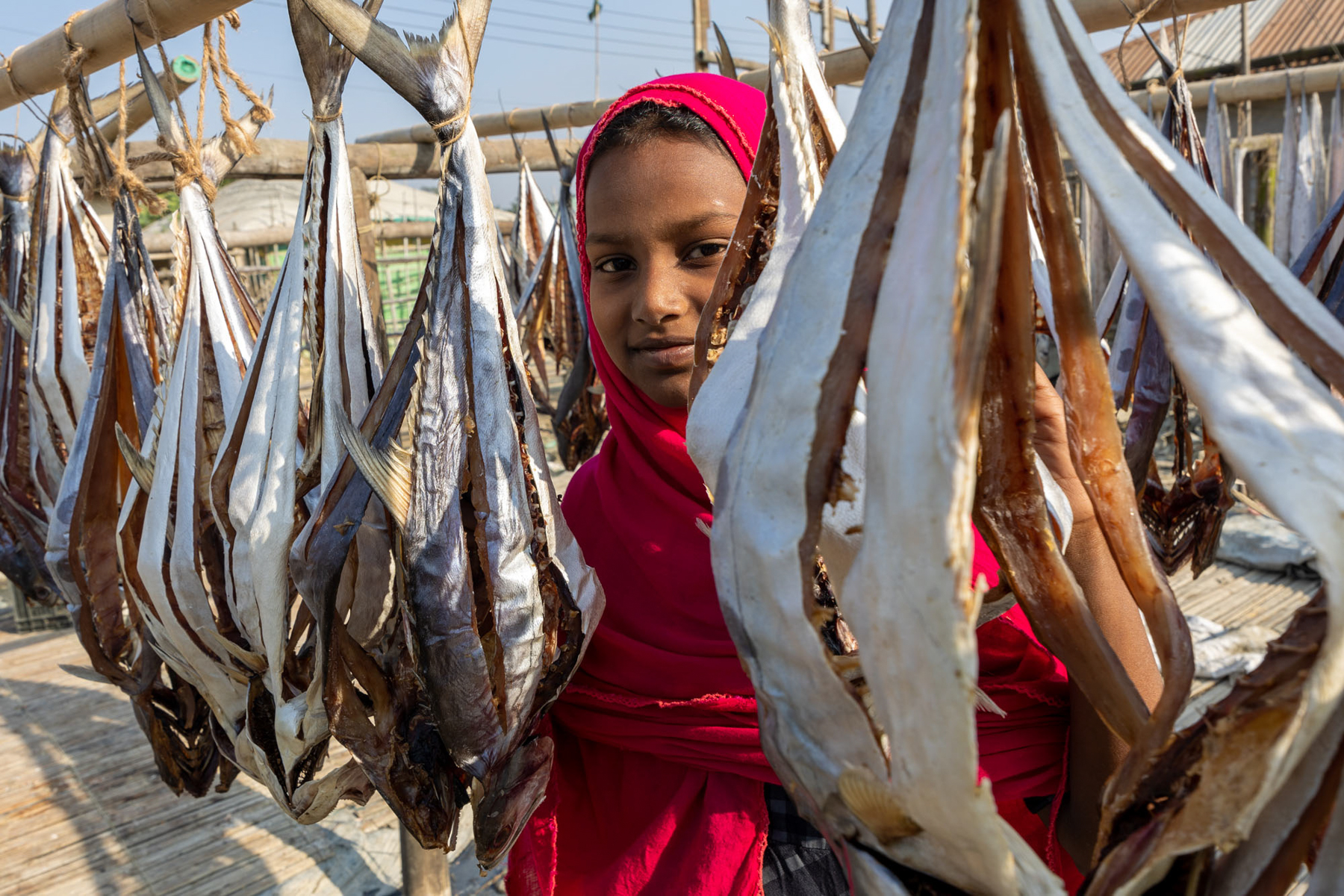Portrait of a young girl in the fish drying yards (image by Yousuf Tushar)