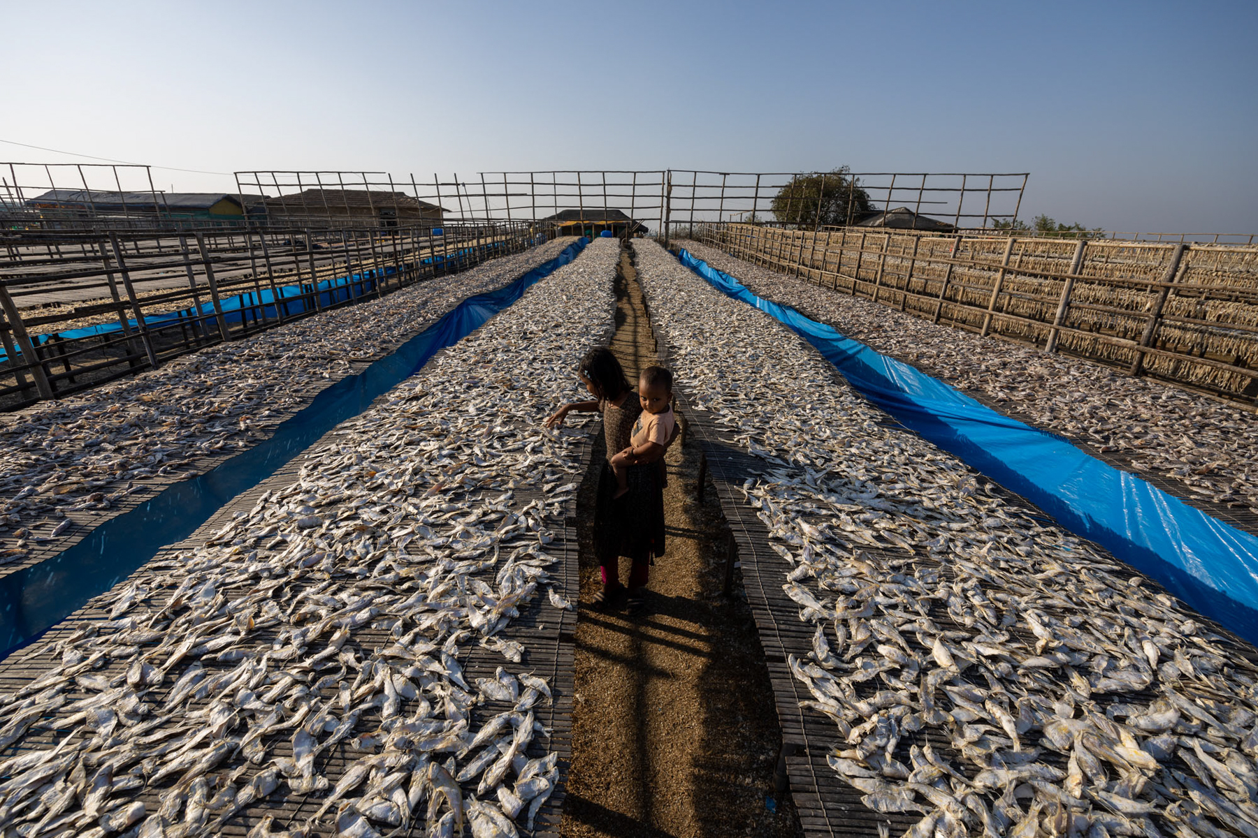 A young woman works with her baby in hand at one of Bangladesh's largest fish drying yards (image by Yousuf Tushar)
