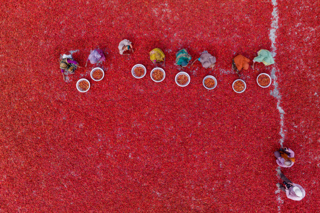 Sky view of our group members photographing the chilli harvesting in Bangladesh (image by Yousuf Tushar)