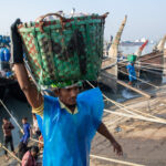 Offloading the fishing trawlers (image by Yousuf Tushar)