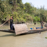 The fascinating and ancient pratice of fishing with otters, at the edge of the Sundarban wilderness (image by Yousuf Tushar)