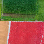 Fields of rice, drying rice and drying chillies. When seen from the air they look like a colourful tapestry (image by Yousuf Tushar)