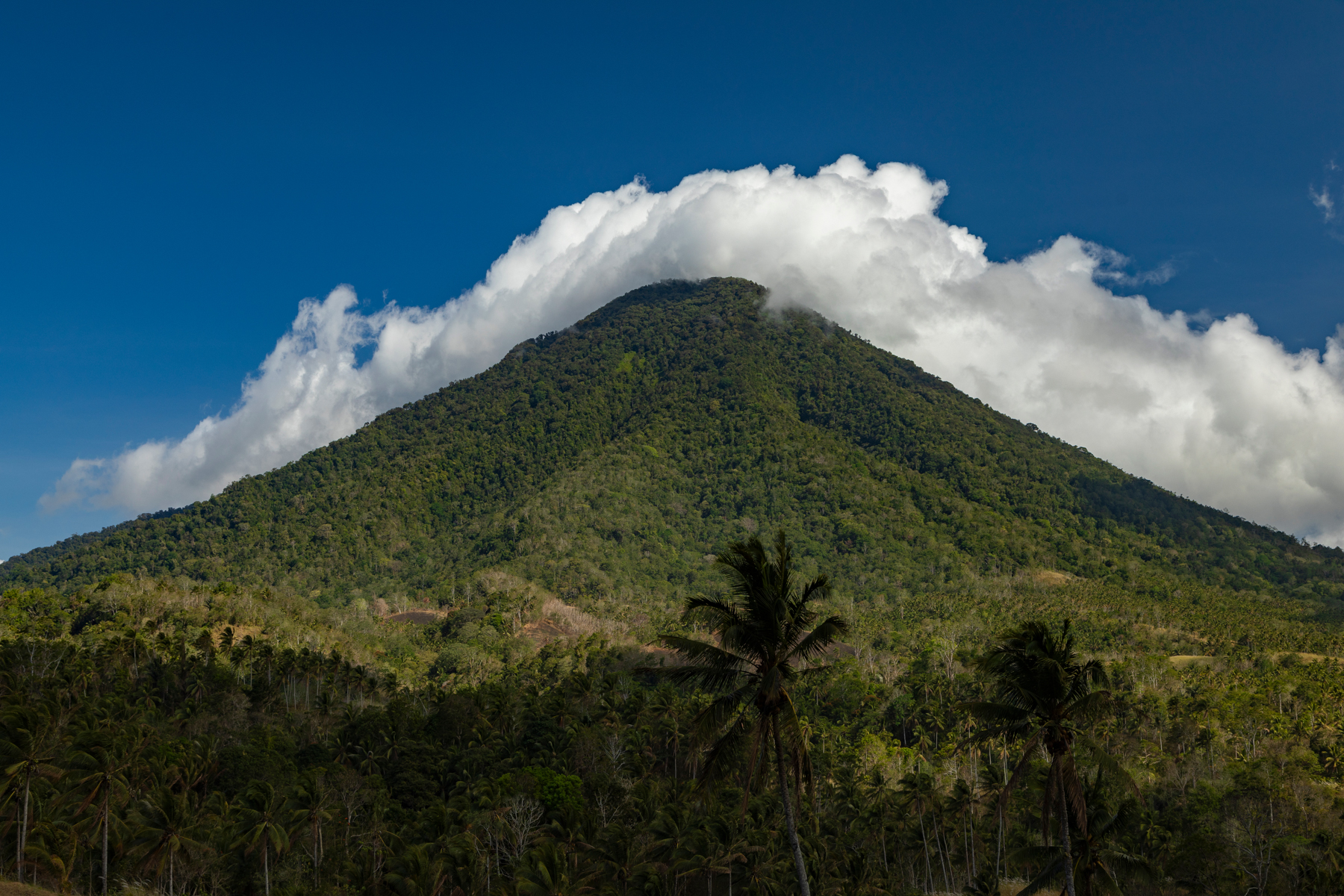 Mount Tangkoko