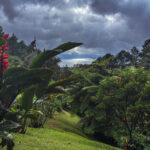 Despite the thunderstorms, the gardens at Arenal Observatory Lodge - looking out to the shores of Lake Arenal - can be wonderful to go birding in (image by Gin Wilde)