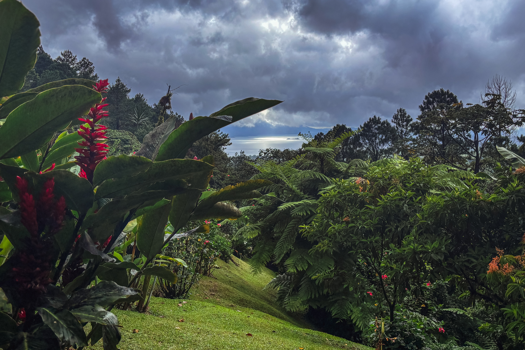 Despite the thunderstorms, the gardens at Arenal Observatory Lodge - looking out to the shores of Lake Arenal - can be wonderful to go birding in (image by Gin Wilde)