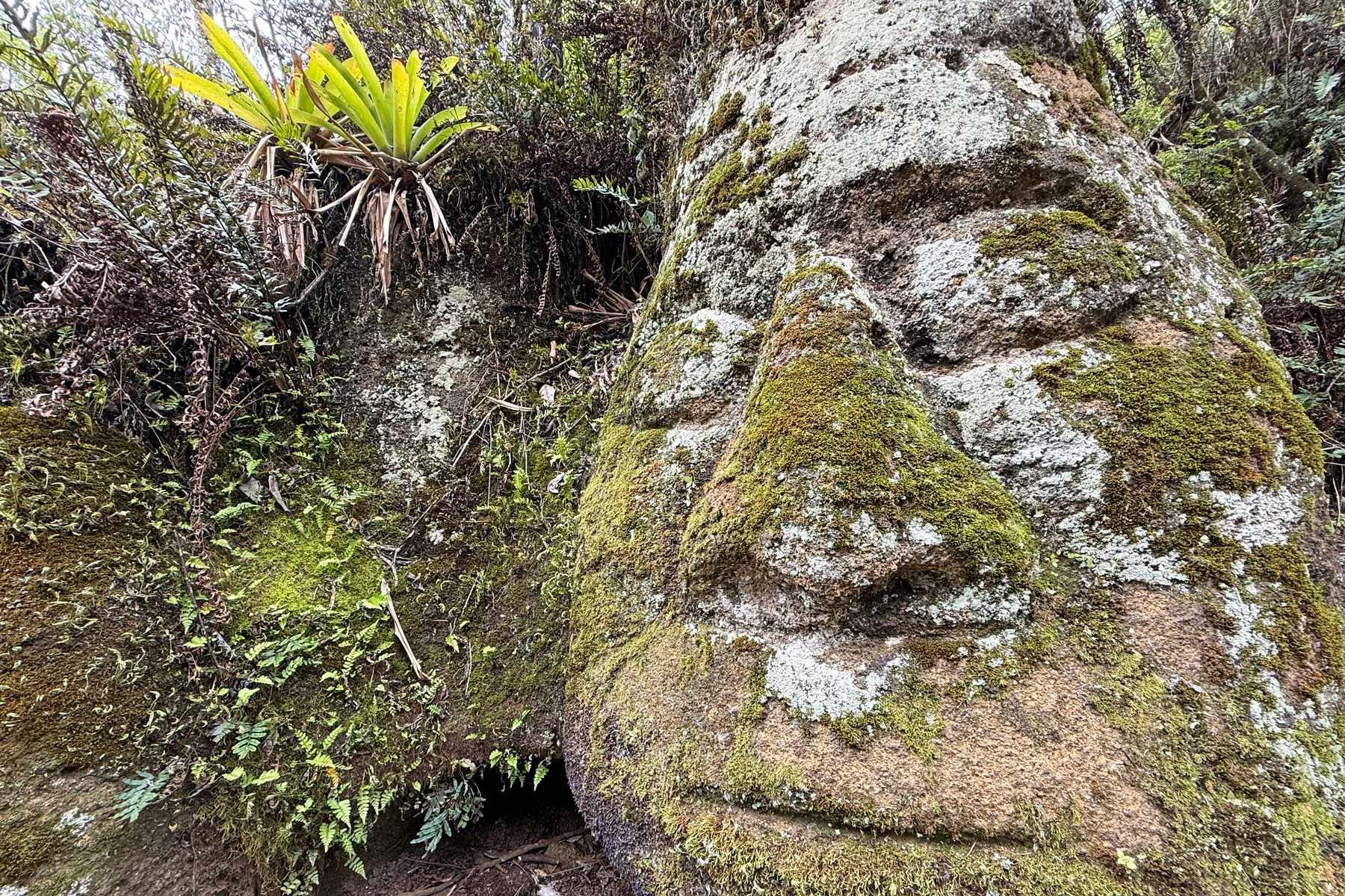 Asilo de la Paz carving on Floreana island (image by Mike Watson)