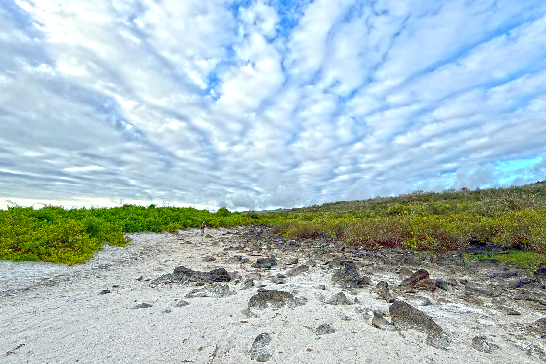 Dennis Darwin in Española Island (Image by Mike Watson)