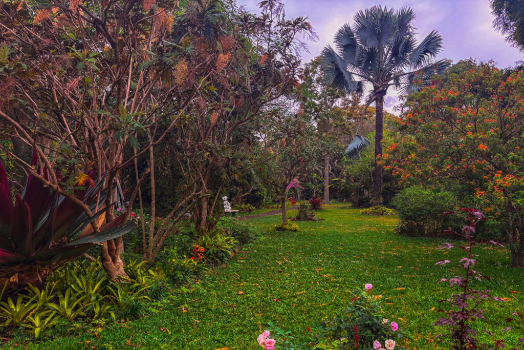 11. Gardens at the Hotel Bougainvillea Costa Rica Virginia Wilde The beautiful gardens at the Hotel Bougainvillea - near San Jose - often win it the title of 'Costa Rica's most beautiful garden (image by Gin Wilde)