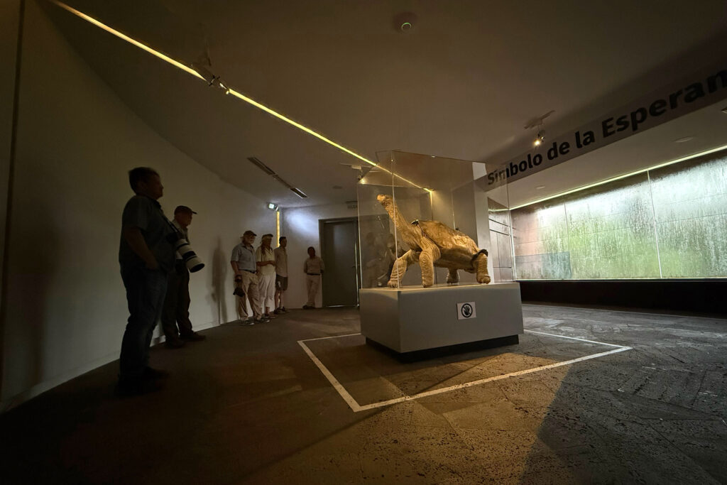 Lonesome George in his mausoleum, unfortunately there was no hope for him (Image by Mike Watson)