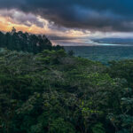 It's easy to become enamoured with the moody skies in the lowlands of Arenal Volcano (image by Gin Wilde)