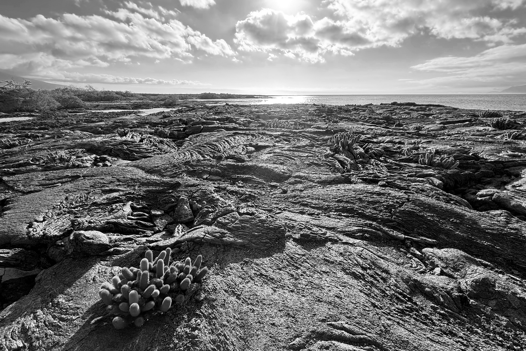 Punta Espinosa pahoehoe lava flow (Mike Watson)