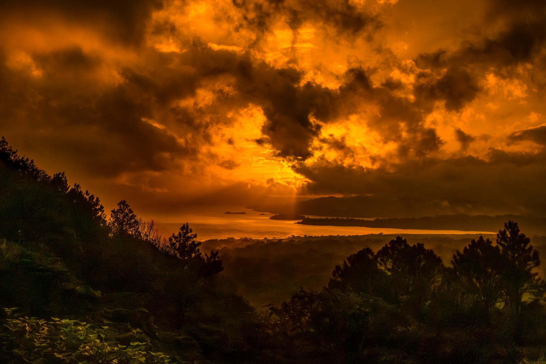 On this year's tour in Costa Rica, it rained. It really bucketed it down. But then the rain cleared and this sunset - over the mid-altitude lowlands - took our breaths away (image by Gin Wilde)
