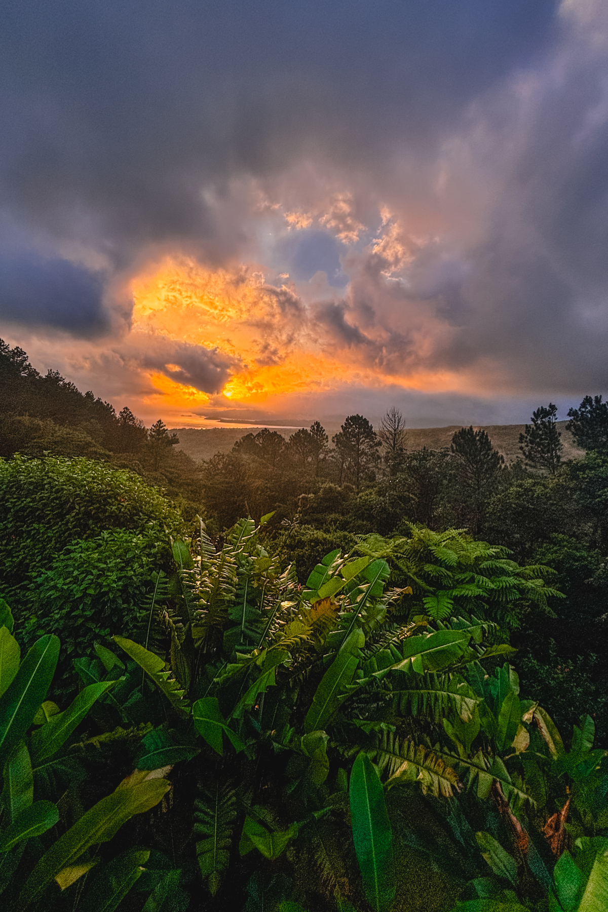 Sometimes the thunderstorms gave way to stunning sunset skies - like this at Arenal Observatory Lodge (image by Gin Wilde)