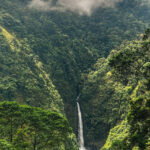 We drank coffee, while photographing so many tropical birds and hummingbirds, at a viewpoint overlooking the San Fernando Waterfall (image by Gin Wilde)