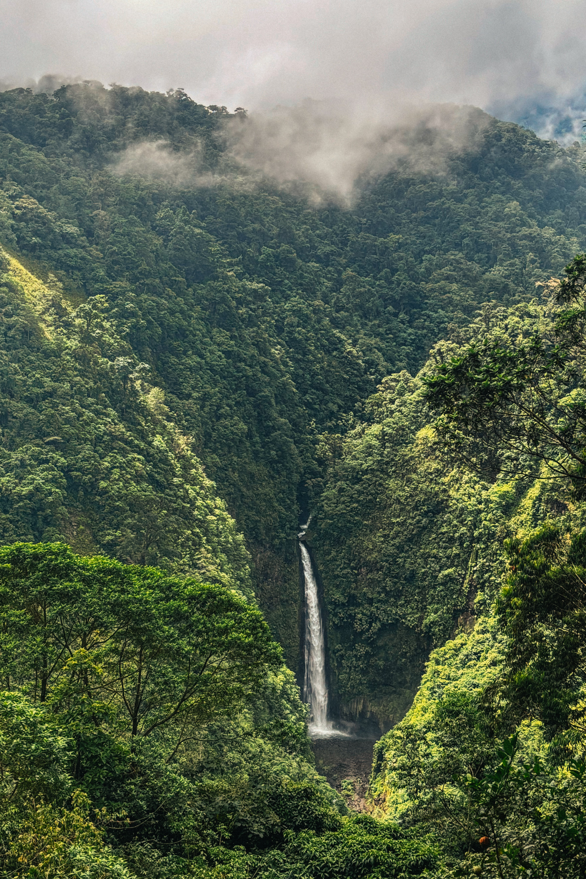 We drank coffee, while photographing so many tropical birds and hummingbirds, at a viewpoint overlooking the San Fernando Waterfall (image by Gin Wilde)