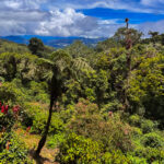 The gloriously verdant view from my private chalet at Paraiso Quetzal Lodge, Costa Rica (image by Gin Wilde)