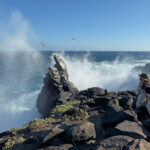 The waves don’t break over the 25 metre cliffs do they? Well, actually sometimes they do. (Image by Mike Watson)