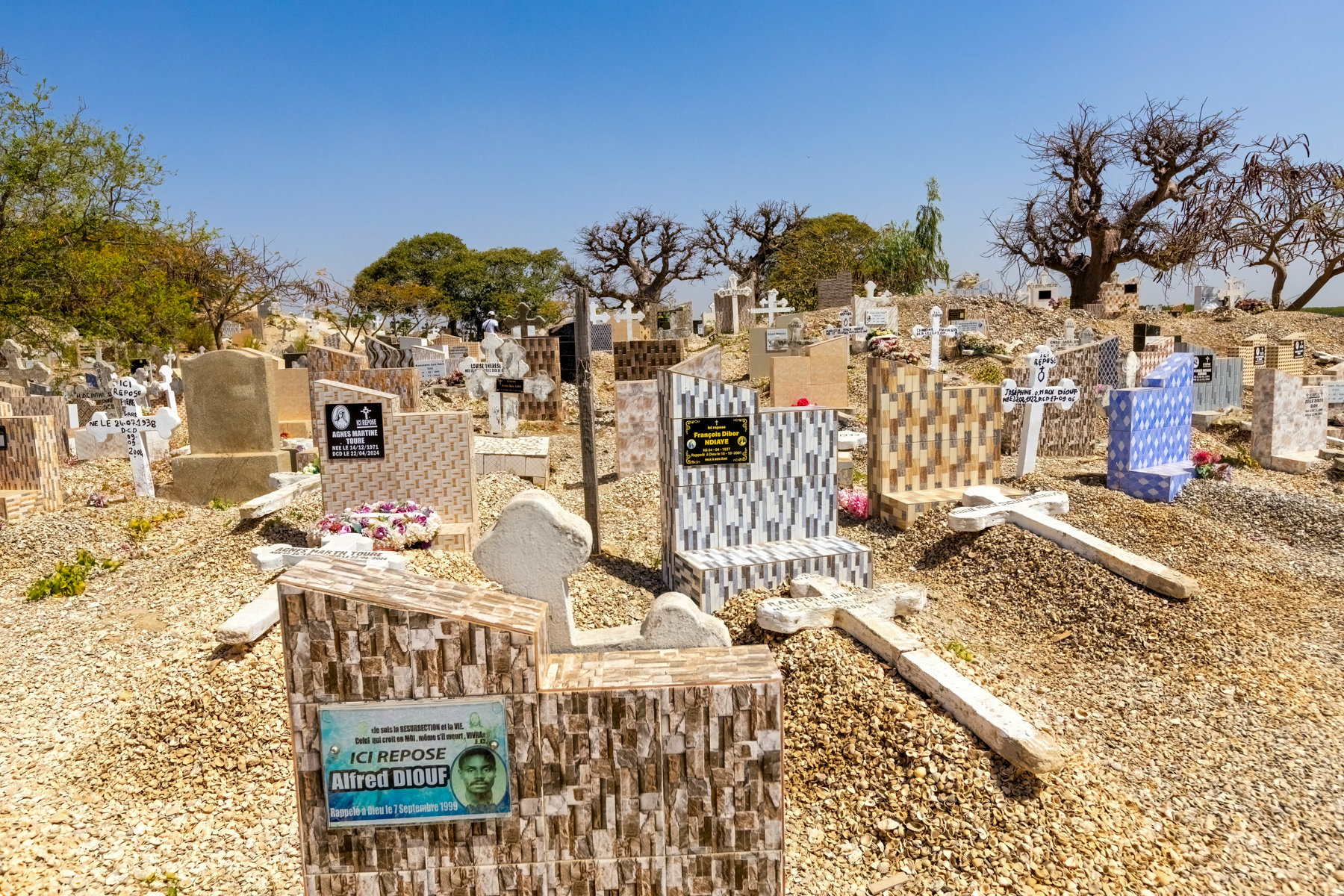Buried in middens of seashells, the seashell-covered graves in the cemetery of Joal Fadiouth.