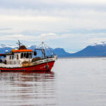 Wonderful old fishing trawler (image by Wild Images guest Stuart Hahn)