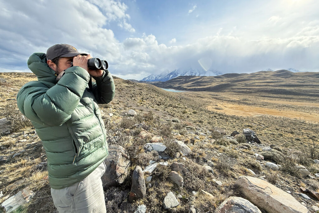 Mauricio scans the landscape for Pumas (image by Mike Watson)