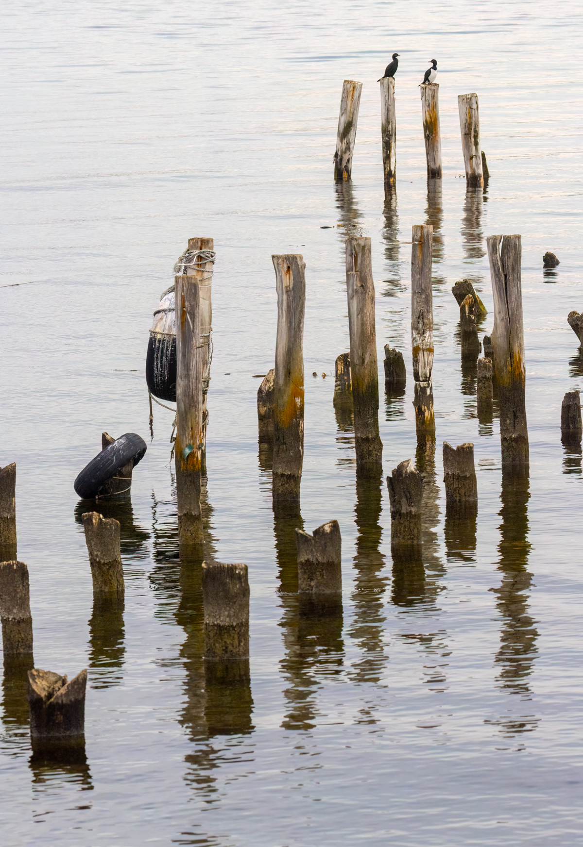 Abstract of Pylons (image by Wild Images guest Stuart Hahn)