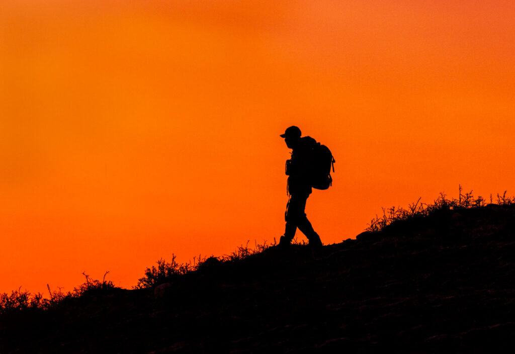 Solo at sunrise (image by Wild Images guest Stuart Hahn)