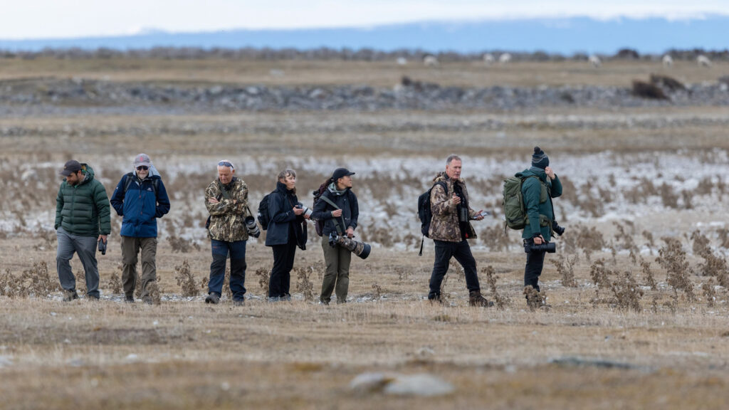 Our WI group in the wilds of Torres Del Paine (image by Wild Images guest Stuart Hahn)