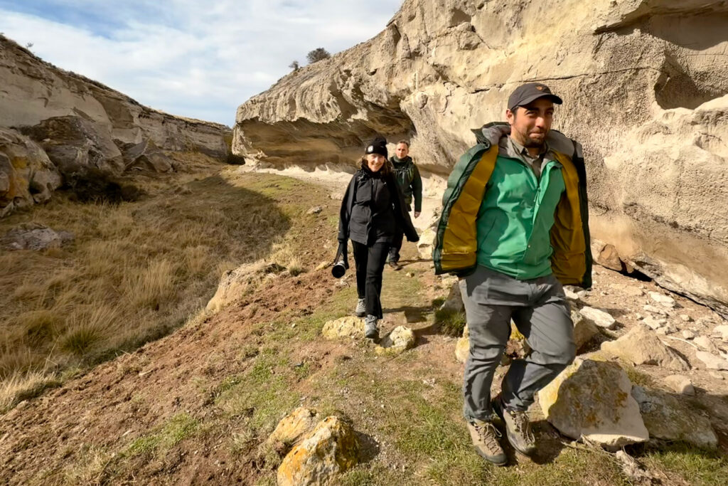 Happy owling! (image by Mike Watson)