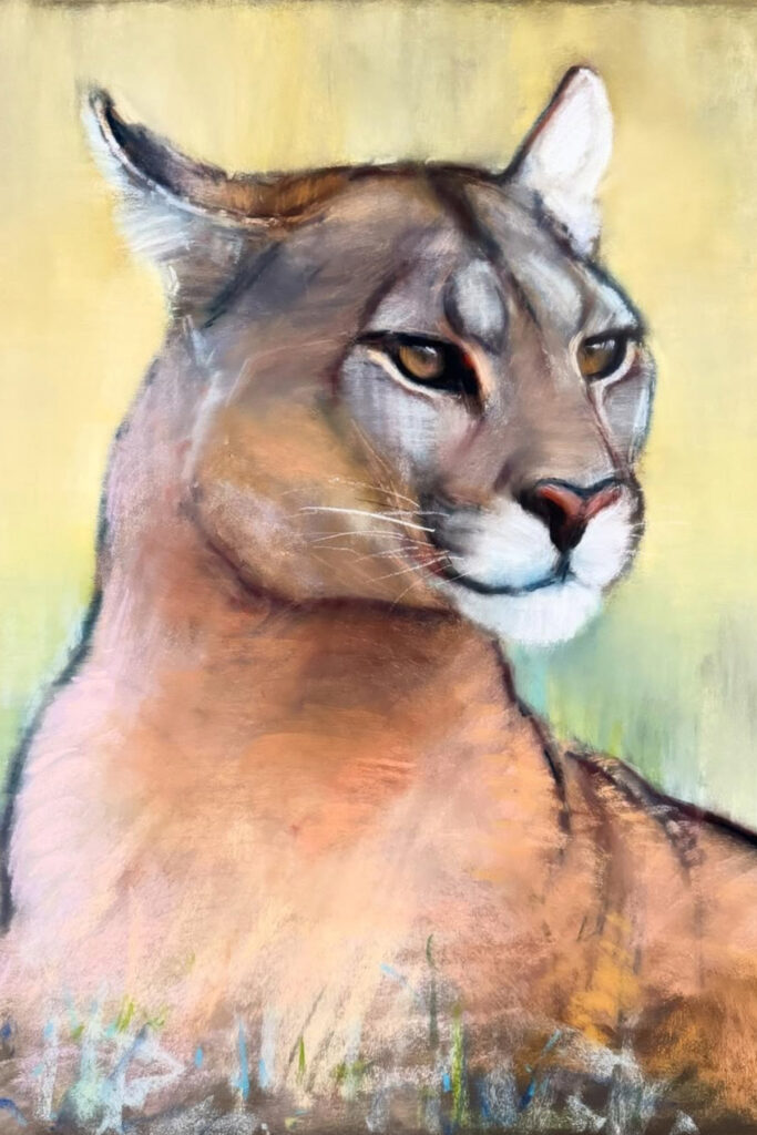 Mark has worked with soft pastels for decades but incredibly this was the first time he had used the paper that is designed for the medium. Portrait of Petaca in Pastels by Mark Adlington.