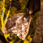 The fruit of Baobab tree (image by Ingrid Koedood)