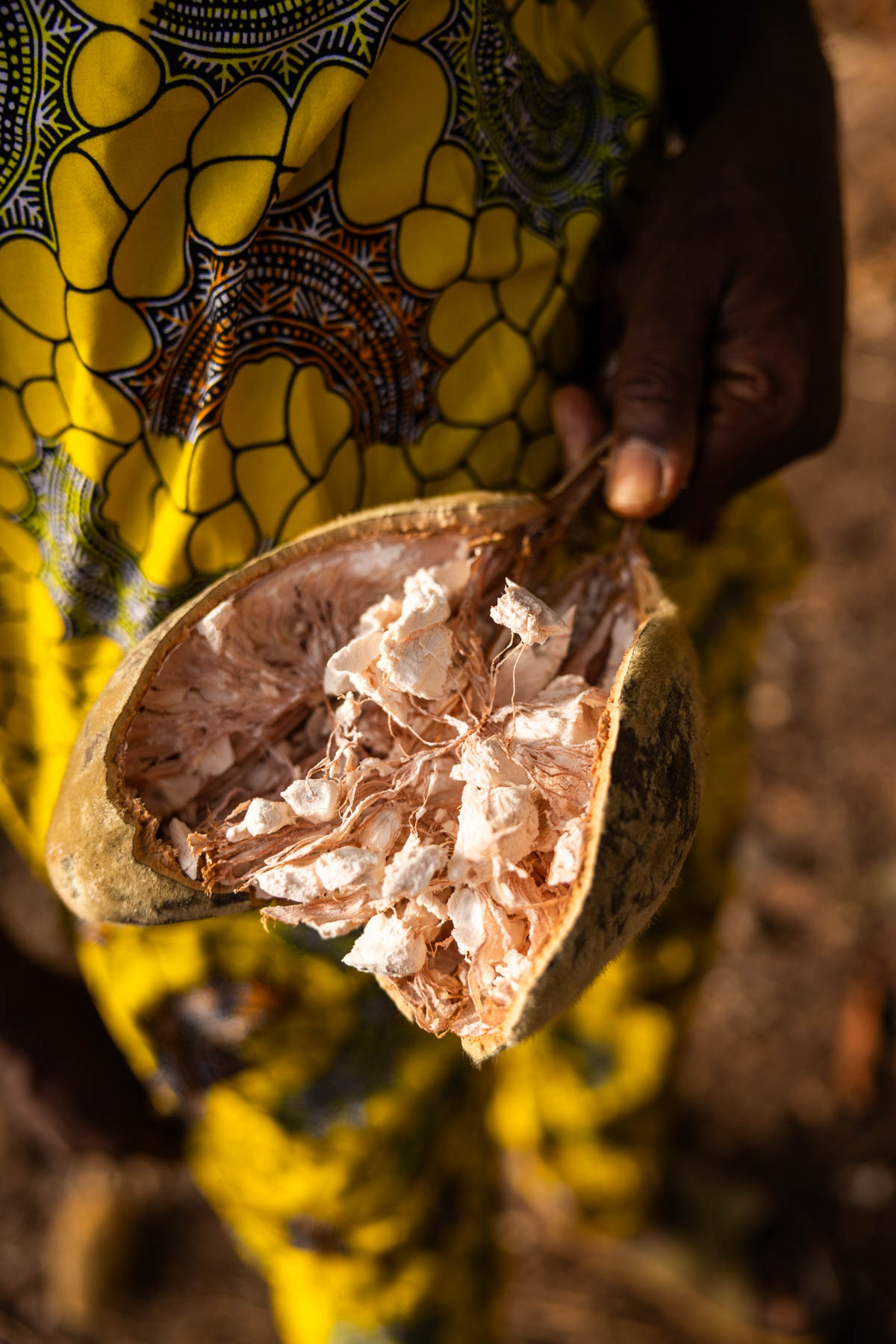 The fruit of Baobab tree (image by Ingrid Koedood)