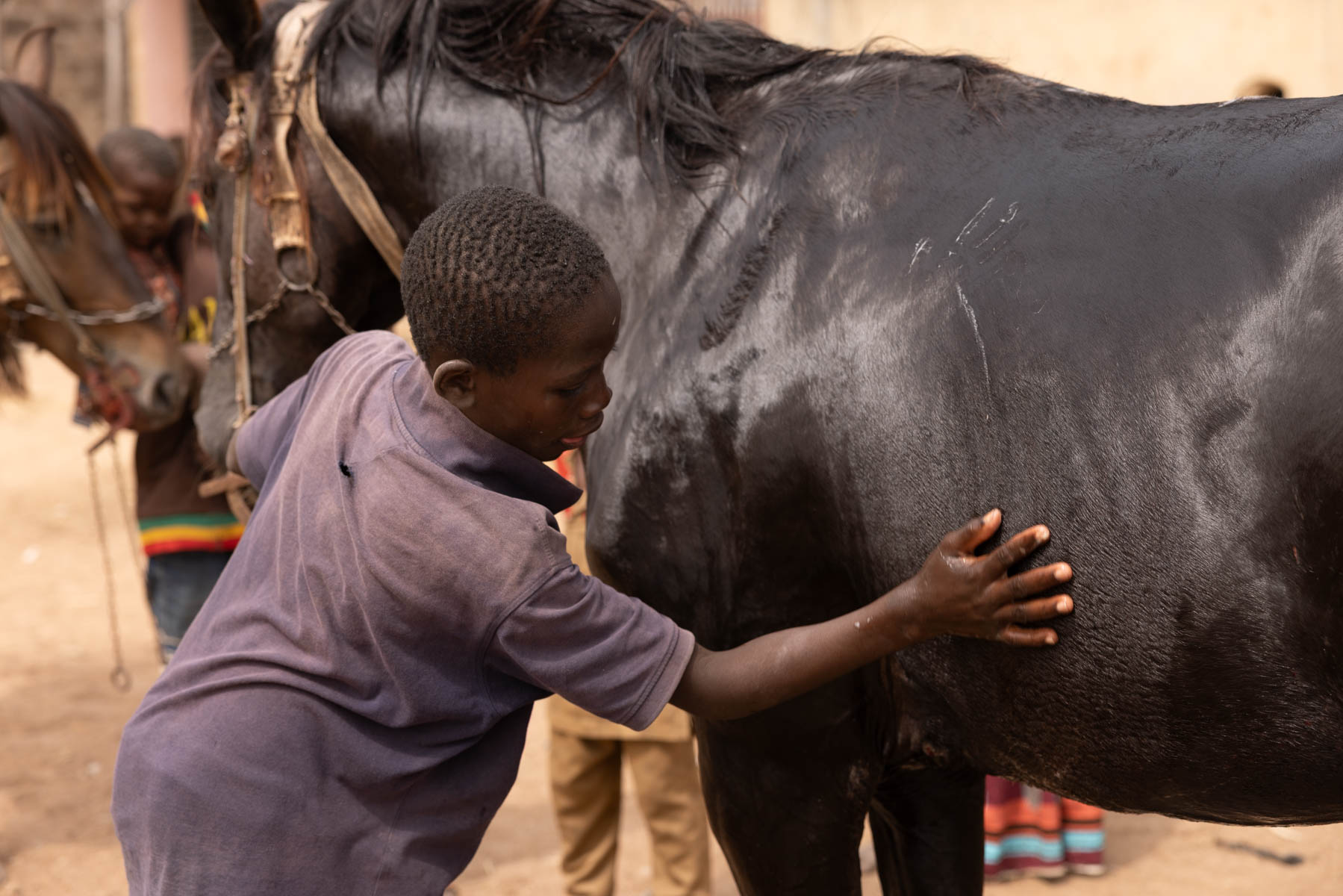 After the ride the Batonu horsemen reward the horses with love and care (image by Ingrid Koedood)