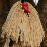 Goly Ceremony - In The Shade of the Tree (Image by Craig Baulcomb)