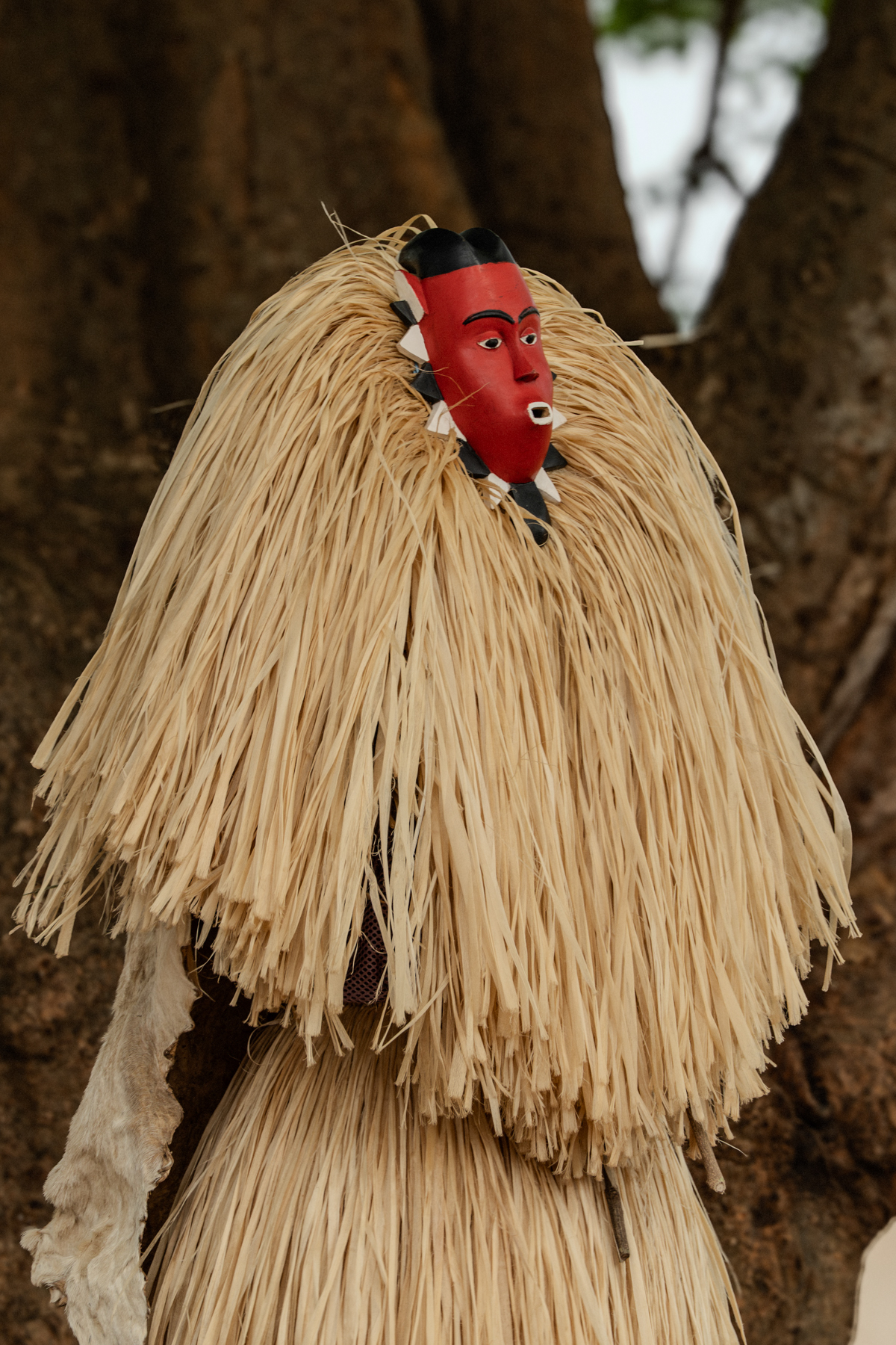 Goly Ceremony - In The Shade of the Tree (Image by Craig Baulcomb)