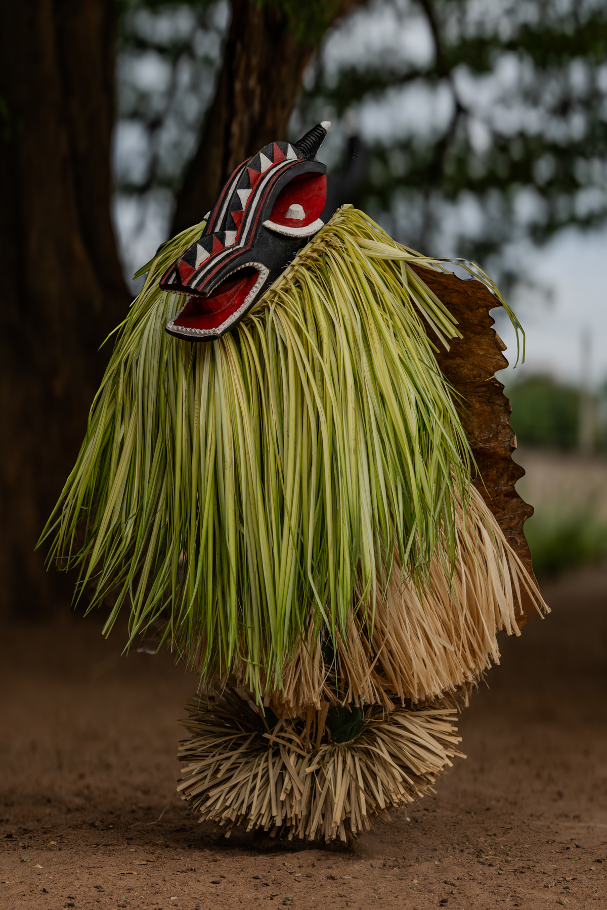 Goly Ceremony - In the Shade of the Tree (Image by Craig Baulcomb)