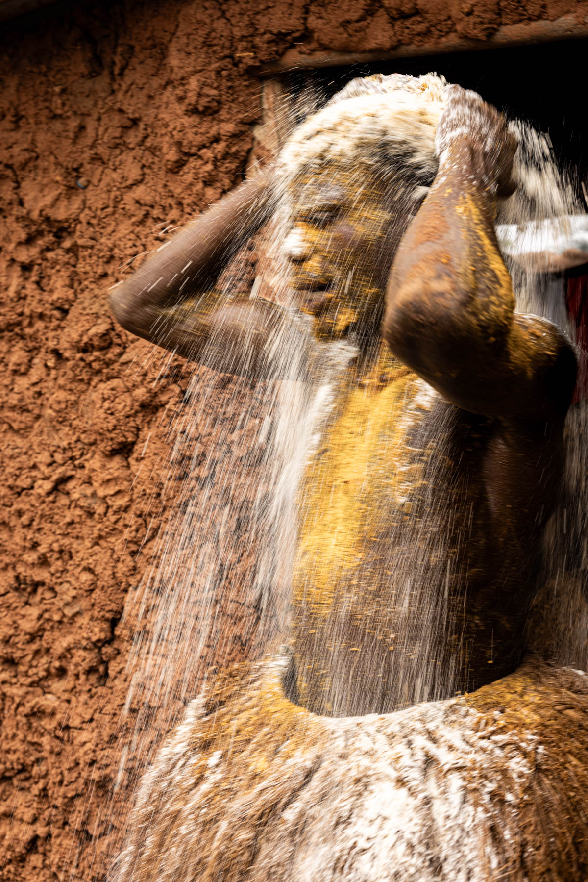 A Kokou devotee still in trance (image by Ingrid Koedood)