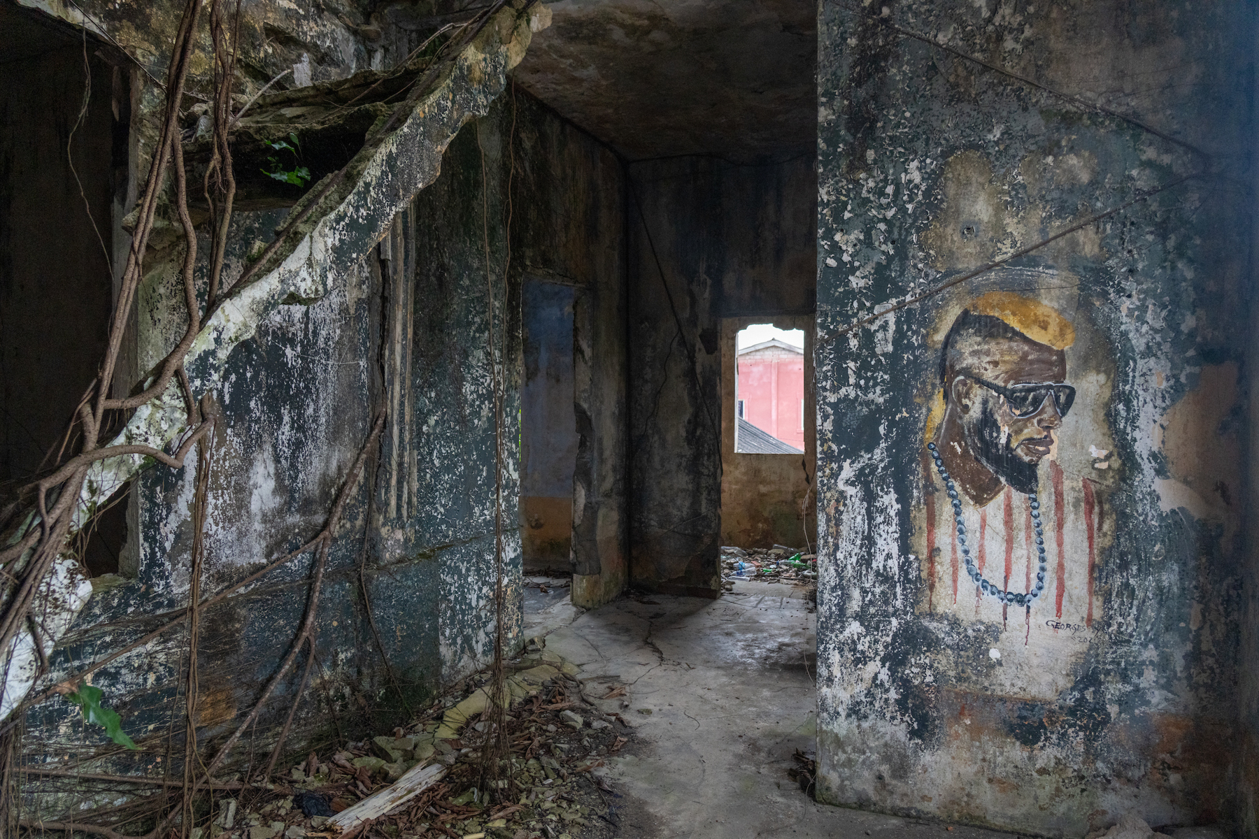 Street art and strangler figs inside Ganamet House, Grand Bassam (image by Inger Vandyke)