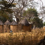 The beautiful traditional tata houses in northern Benin (image by Ingrid Koedood)