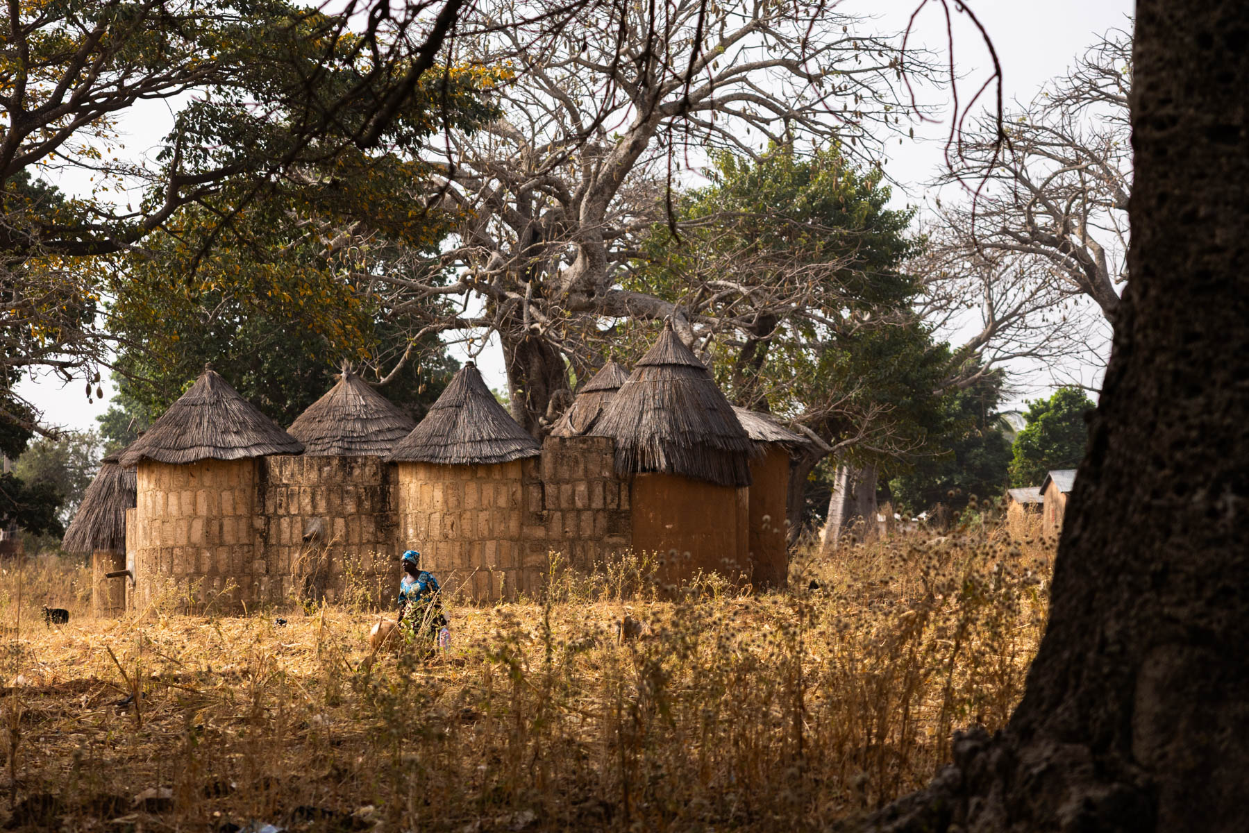 The beautiful traditional tata houses in northern Benin (image by Ingrid Koedood)
