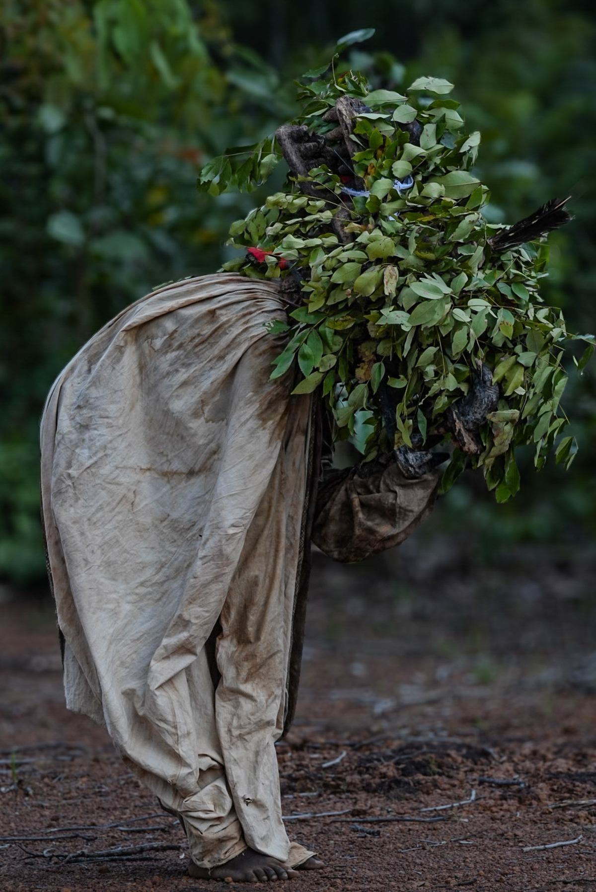 Senufo Salutation - Honouring the Sacred Forest (Image by Craig Baulcomb)