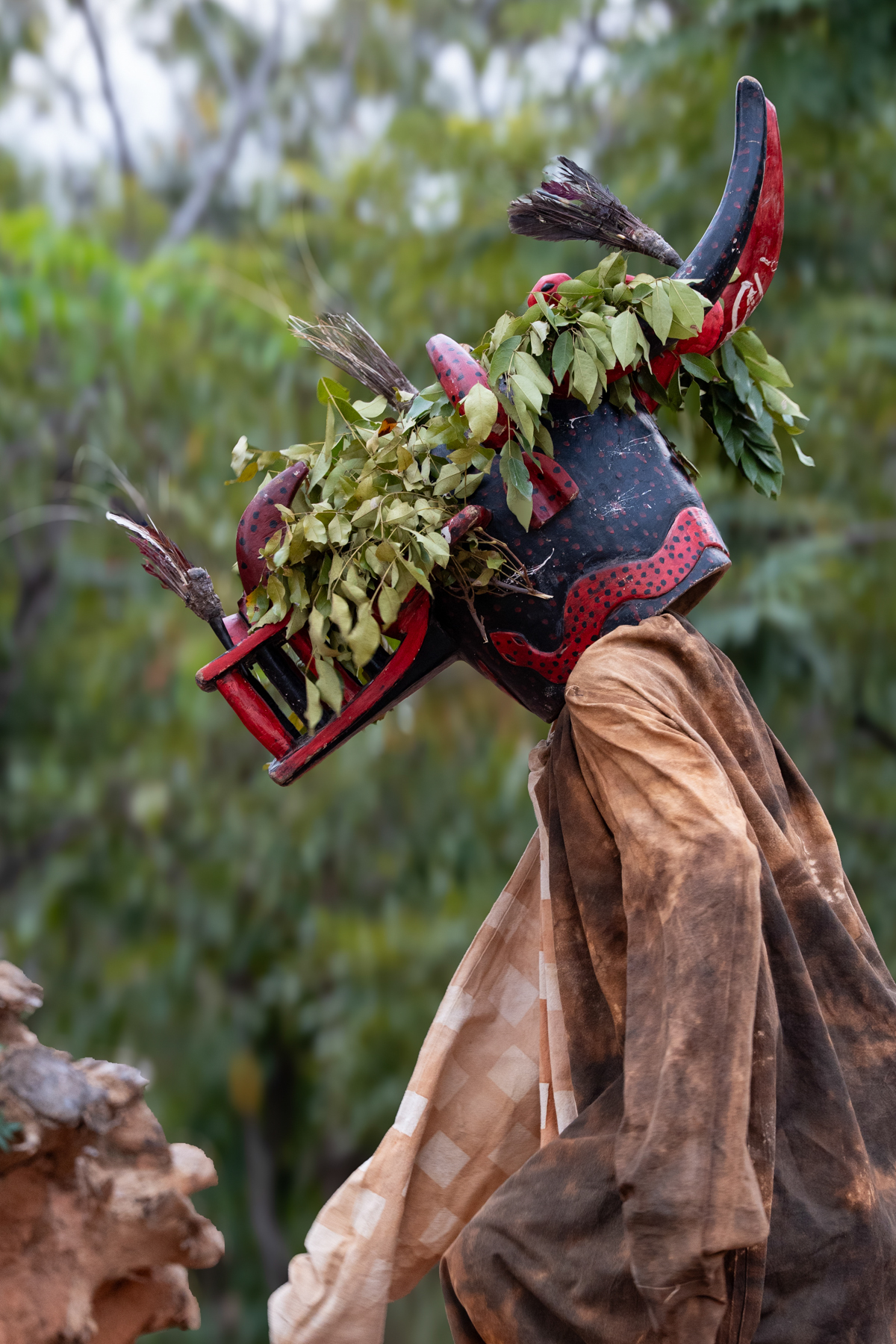 Wambele Spirit Mask - Senufo People (Image by Craig Baulcomb)