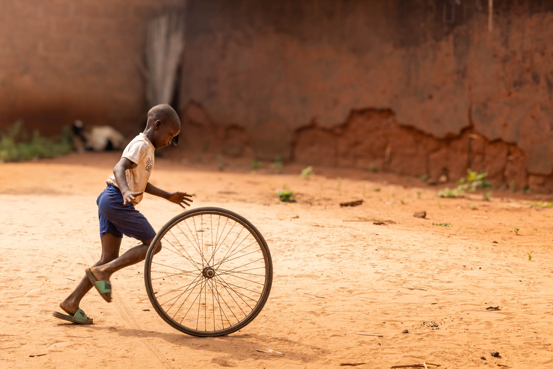 Childhood creativity: a boy playing with a bicycle tyre (image by Ingrid Koedood)
