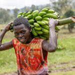 On his way to the market, carrying freshly harvested bananas. A young boy fr0m the Ari tribe, where farming is woven into everyday life. (image by Ingrid Koedood)